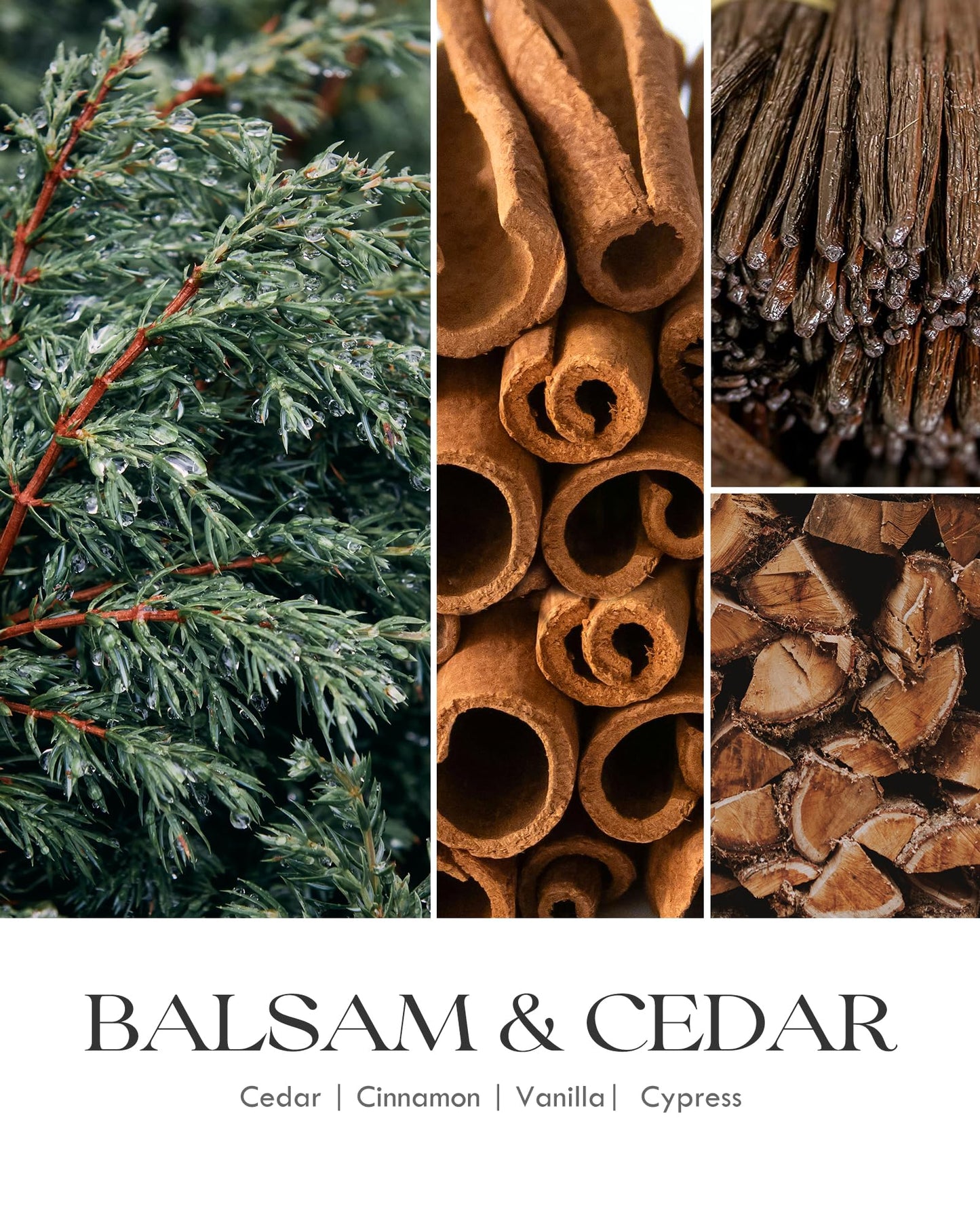 AOOVOO Balsam Cedar Candle - 22oz Pine-Scented Soy Wax Aromatherapy Candle