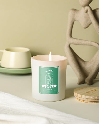 AOOVOO Eucalyptus Mint Soy Candle with Crystals - 10oz for Women