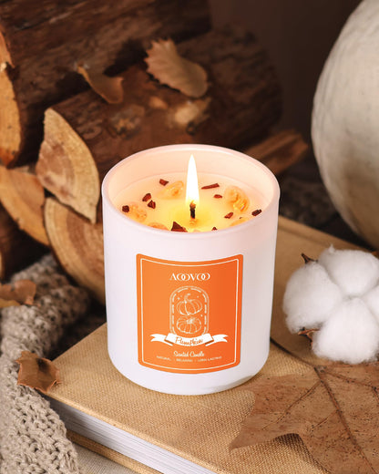 AOOVOO Pumpkin Scented Candles for Women | 10oz Soy Aromatherapy Candle with Crystals
