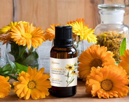 AOPING Calendula Essential Oil - 2x10ml | 100% Pure Calendula Officinalis