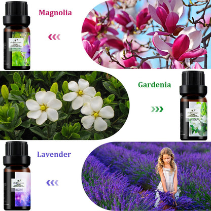 ap airpleasure Flower Essential Oils Set (6x10ml) – Gardenia, Magnolia, Shangri-La, Jasmine, White Tea, Lavender