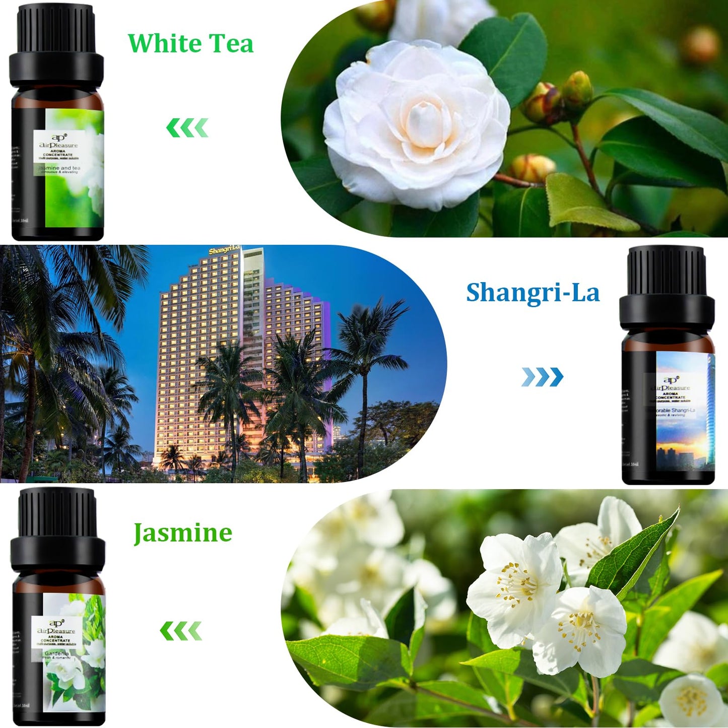 ap airpleasure Flower Essential Oils Set (6x10ml) – Gardenia, Magnolia, Shangri-La, Jasmine, White Tea, Lavender