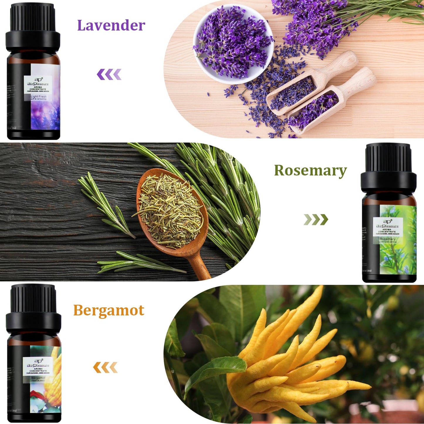 ap airpleasure Fresh Essential Oils Set – 6x10ml Aromatherapy Oil Gift Kit