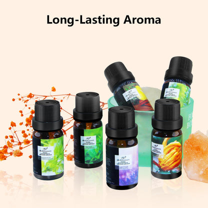 ap airpleasure Fresh Essential Oils Set – 6x10ml Aromatherapy Oil Gift Kit