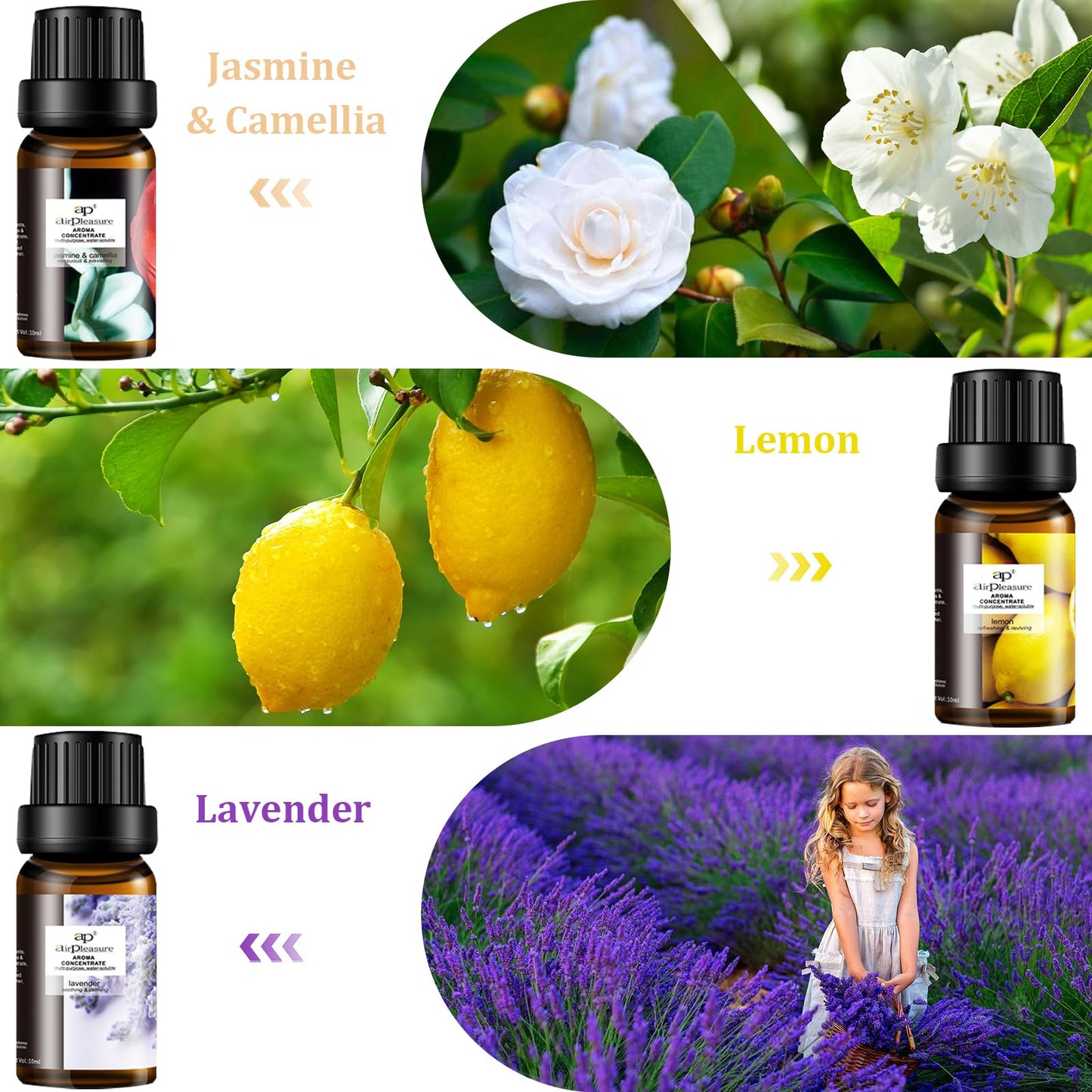 ap airpleasure Refresh Essential Oils Set — 6x10ml for Diffuser, Humidifier & Aromatherapy