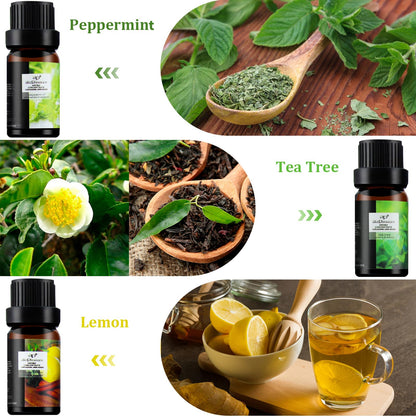 ap airpleasure Fresh Essential Oils Set – 6x10ml Aromatherapy Oil Gift Kit