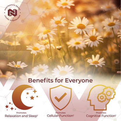 Nootropics Depot Apigenin Capsules 200mg | 30 Count