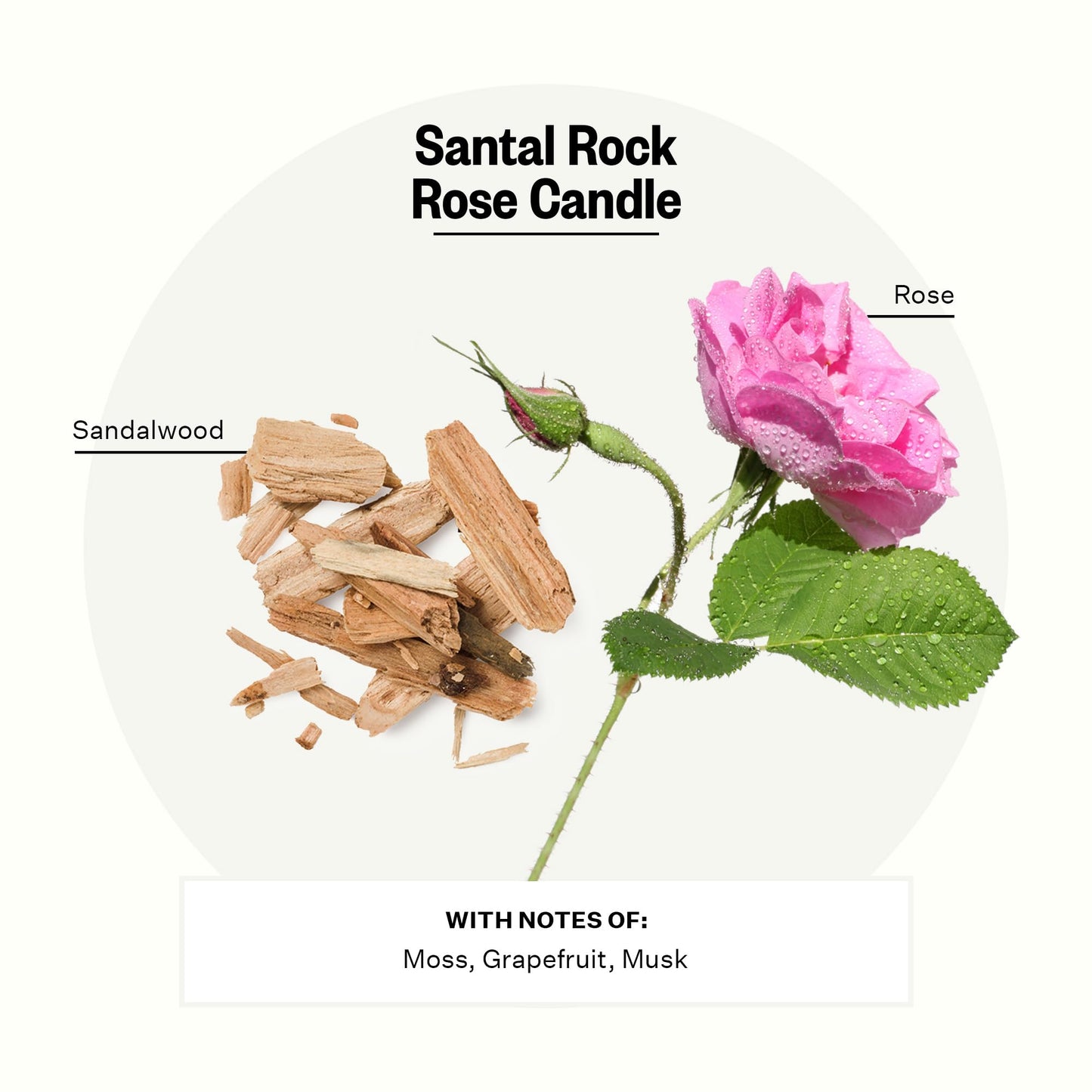 Apotheke 3-Wick Santal Rock Rose Candle – 26 oz Soy Jar