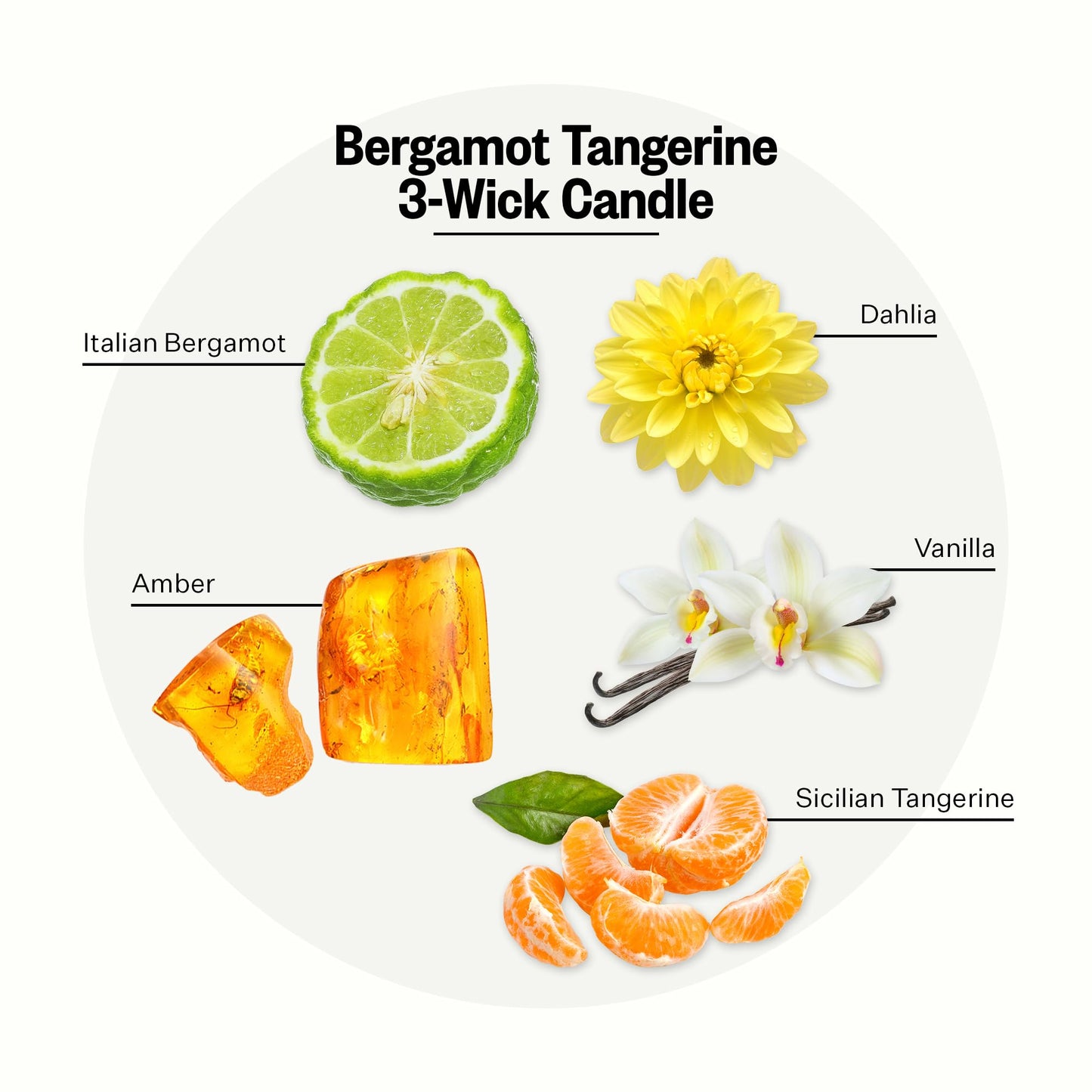 APOTHEKE Bergamot Tangerine 3-Wick Candle – 26 oz Soy Jar