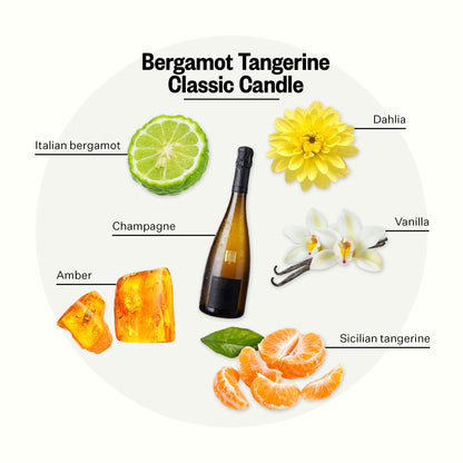 APOTHEKE Signature Bergamot Tangerine Candle – 10.5 oz Soy Wax, Non-Toxic, Large White Jar | Luxury Gift for Women & Men