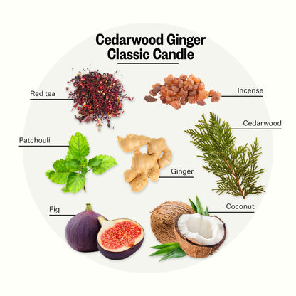 APOTHEKE Cedarwood Ginger 10.5 oz Soy Candle – Luxury Jar, Non-Toxic