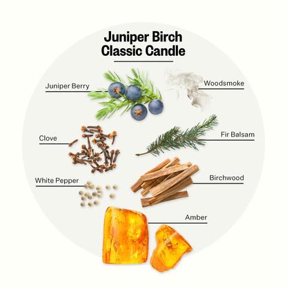 APOTHEKE Signature Candle – Juniper Birch (10.5 oz) Soy Jar | Long-Lasting Fall Fragrance