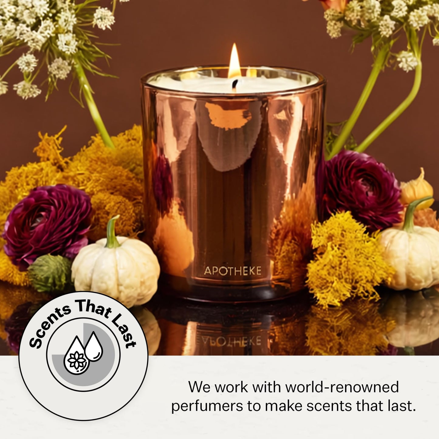 Apotheke Pumpkin Ginger Candle - 10.5 oz Soy Wax Jar | Fall Fragrance