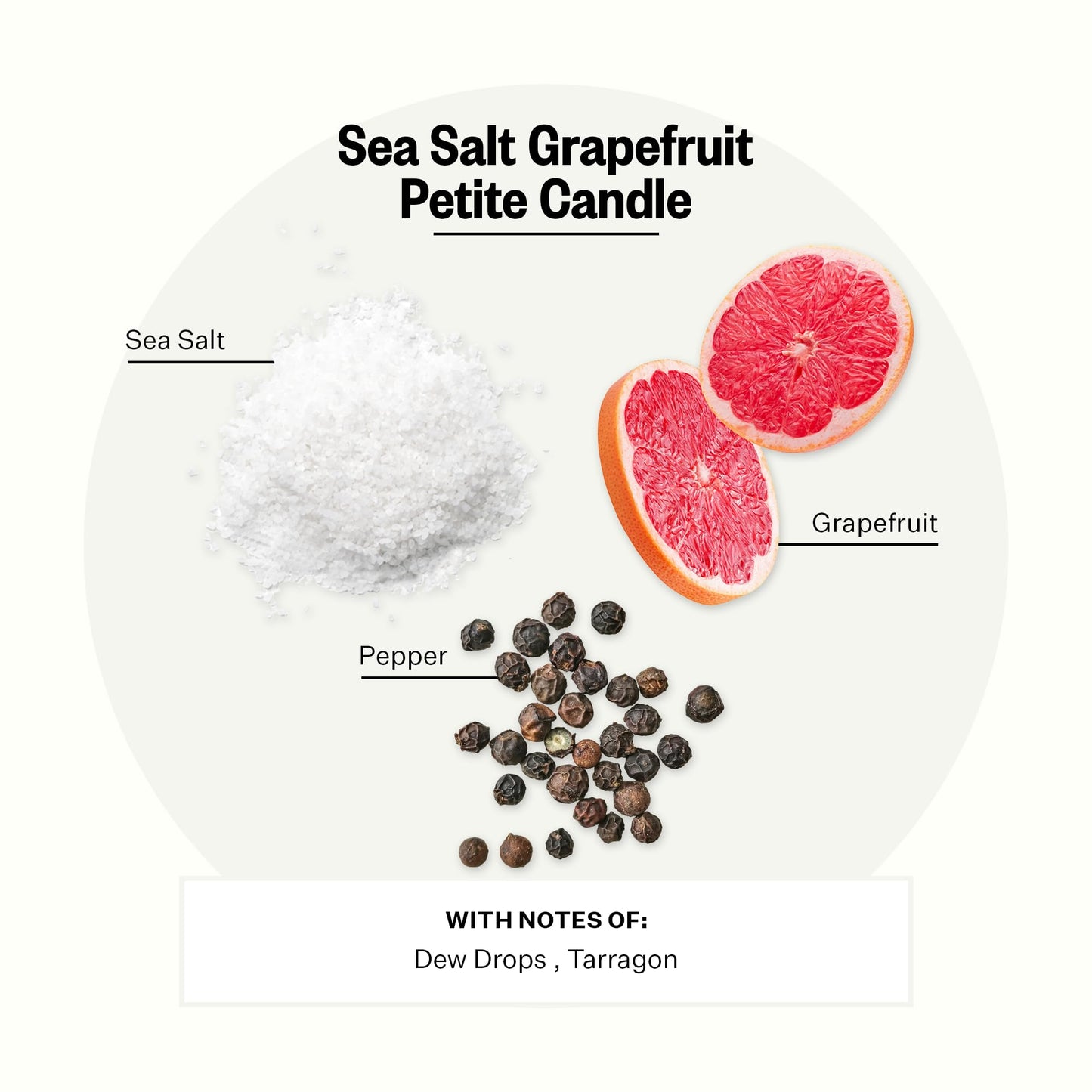 Apotheke Sea Salt Grapefruit Petite Aromatherapy Jar Candle | Luxury Soy Wax