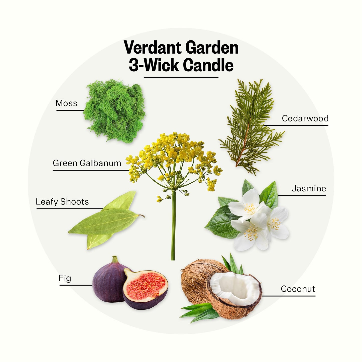Verdant Garden 3-Wick Candle – 26oz Soy Jar by Apotheke