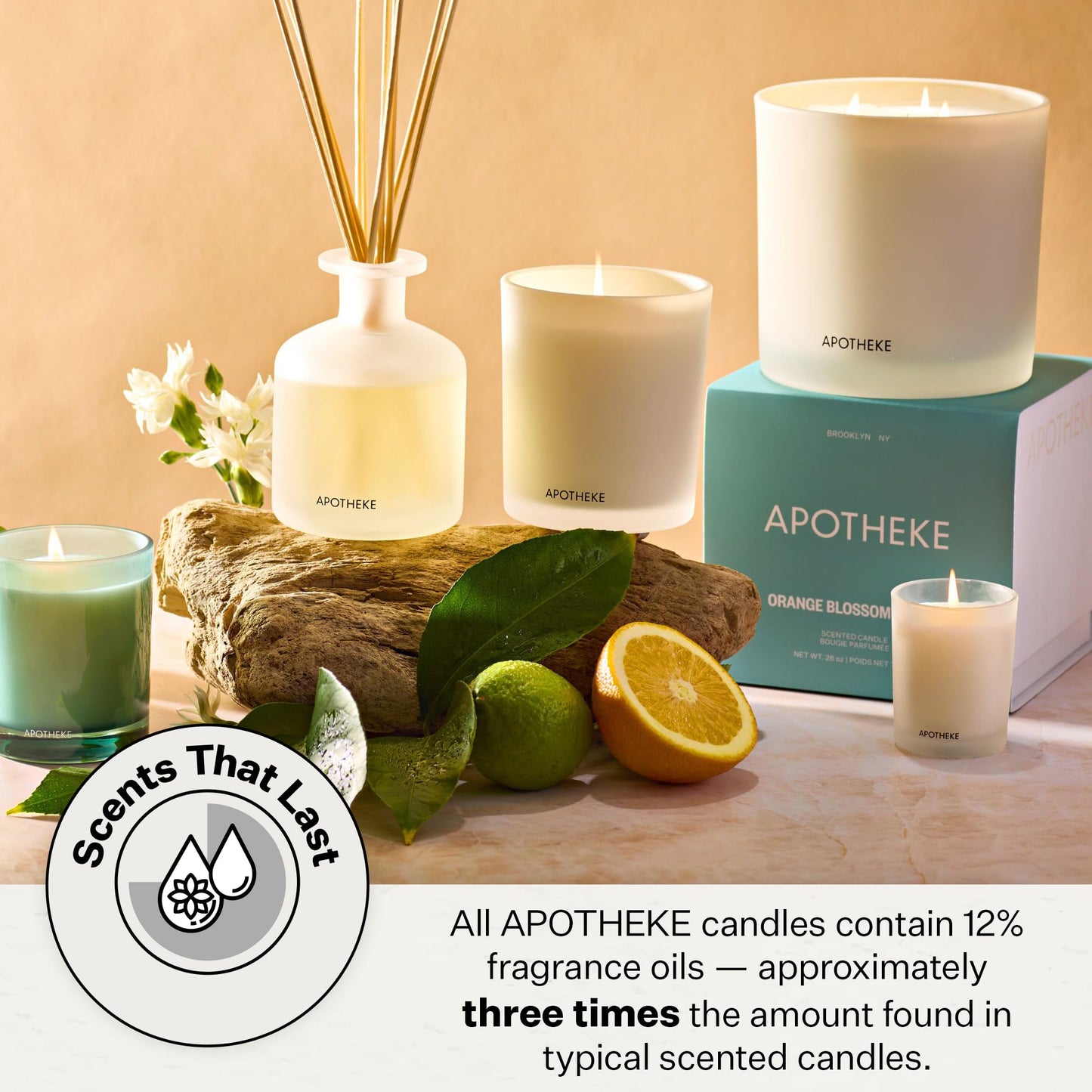 APOTHEKE Verdant Garden 10.5 oz Soy Candle | Cedarwood, Fig, Jasmine, Coconut
