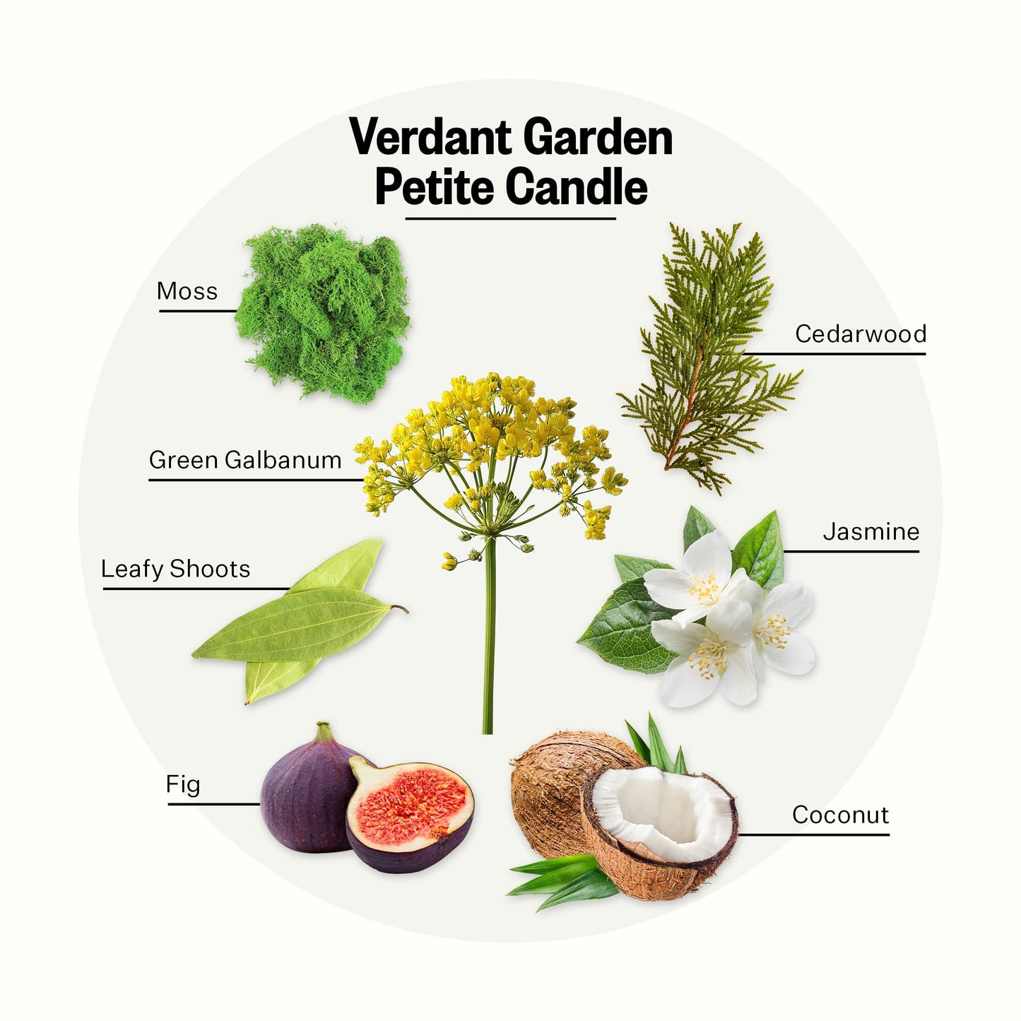 Apotheke Verdant Garden Petite Aromatherapy Jar Candle | Luxury Soy Wax