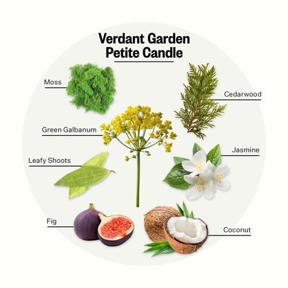 Apotheke Verdant Garden Petite Aromatherapy Jar Candle | Luxury Soy Wax