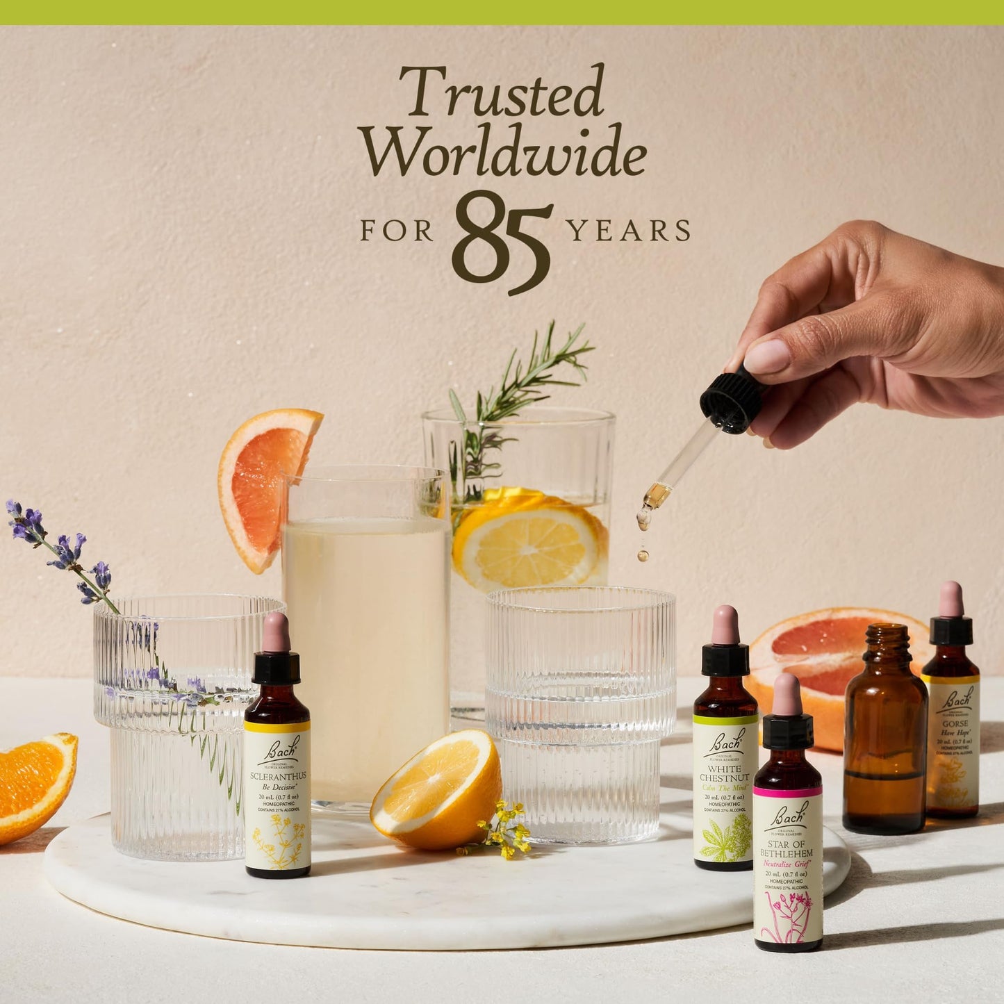 Bach Honeysuckle – Embrace The Now | Flower Remedy for Emotional Balance, 20mL