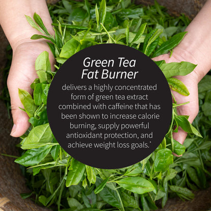 Applied Nutrition Green Tea Fat Burner – 3 Pack (30 Liquid Soft-Gels) – Increases Calorie Burning & Powerful Antioxidants – 45 Servings