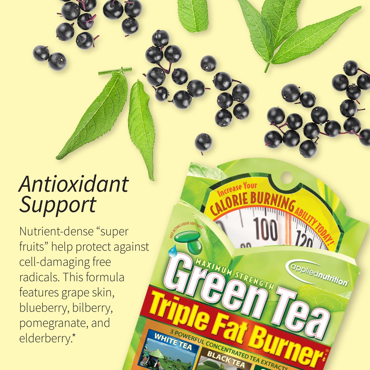 Applied Nutrition Green Tea Fat Burner – 3 Pack (30 Liquid Soft-Gels) – Increases Calorie Burning & Powerful Antioxidants – 45 Servings