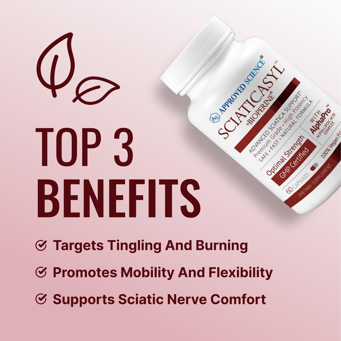 Approved Science Sciaticasyl – Optimal Sciatic Nerve Support, Vegan, 60 Capsules