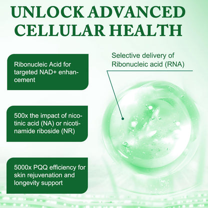 APU.FAIRY NAD Supplement - Liposomal NAD+ with Nicotinamide Riboside | Energy, Anti-Aging & Cellular Support | 120 Capsules
