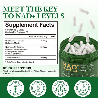 APU.FAIRY NAD Supplement - Liposomal NAD+ with Nicotinamide Riboside | Energy, Anti-Aging & Cellular Support | 120 Capsules