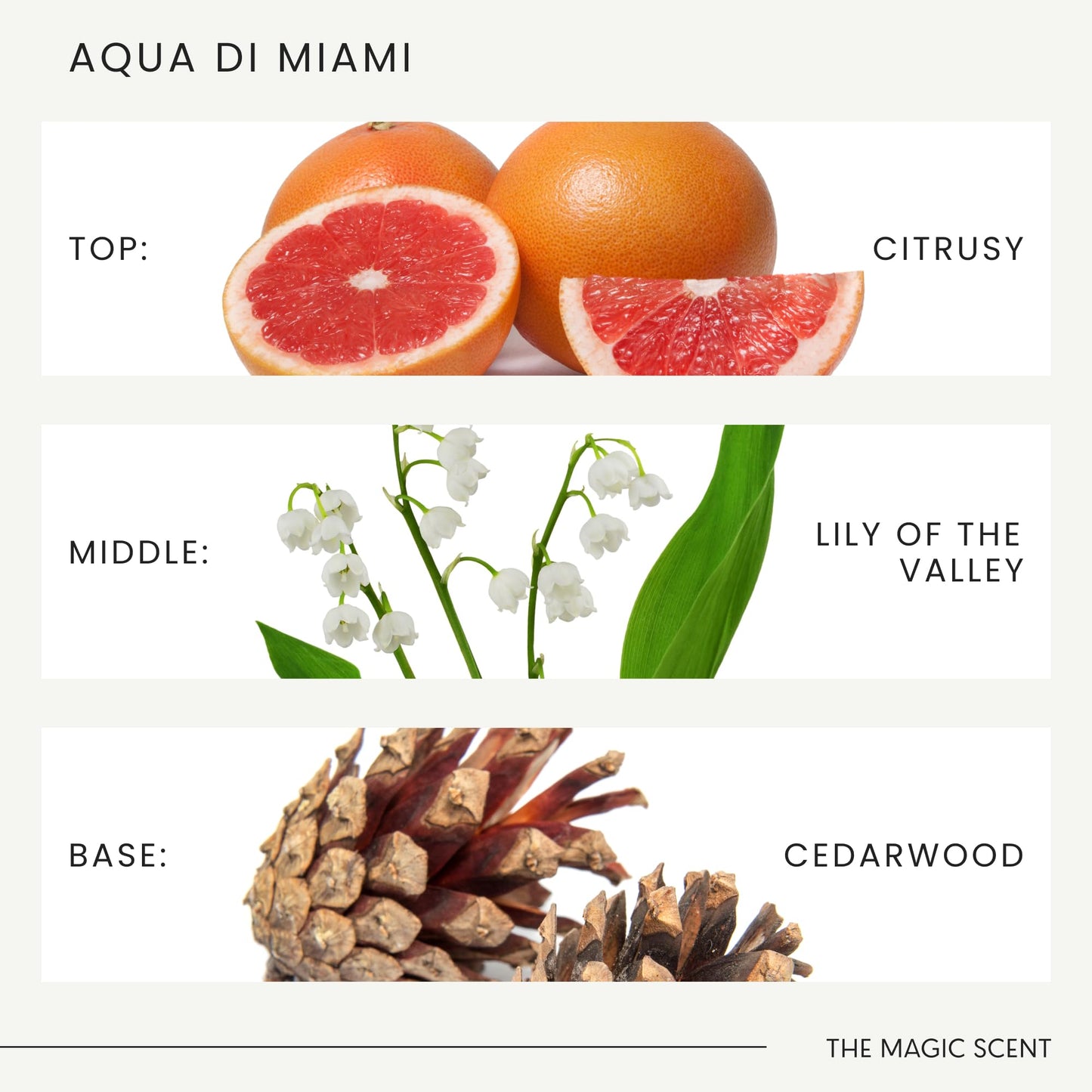 The Magic Scent Aqua di Miami Diffuser Oil – Hotel & Home Luxury Scents (8.5 fl oz / 250 mL)