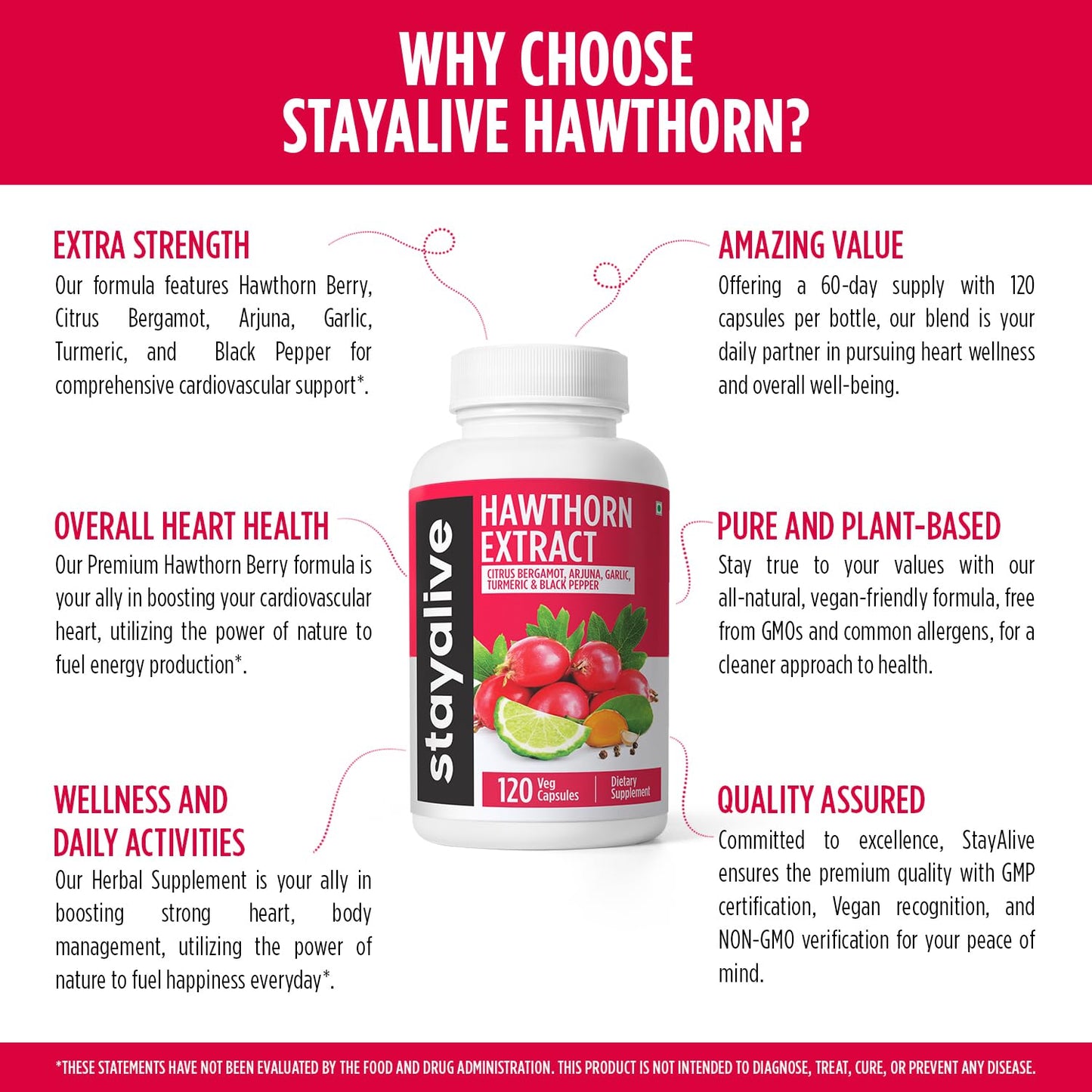 STAY ALIVE Hawthorn Berry Capsules 20:1 Extract – 6-in-1 Antioxidant, 120 Vegan Pills
