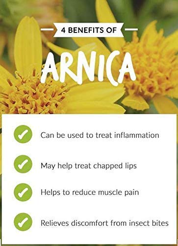 Arnica Montana Therapeutic Essential Oil – Salvia Amber Bottle, 100% Natural, Cold-Pressed (500 ml) Aromatherapy Premium Oil
