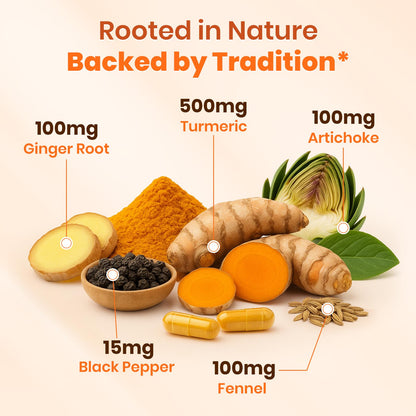 Arofum Turmeric Supplement with Ginger Root & BioPerine – 500mg Turmeric Extract – Joint & Digestive Support | 120 Vegan Capsules