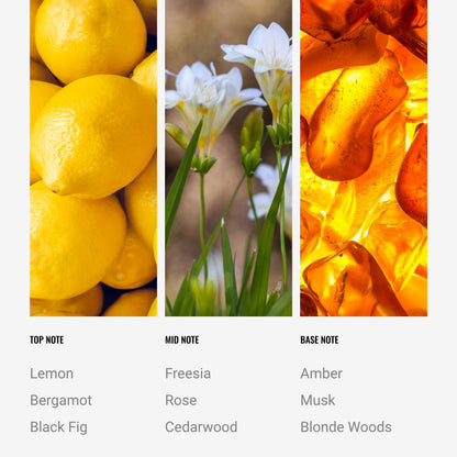 Aroma360 Black Velvet Scented Candle 55oz – Luxury Hotels Inspired, 300 Hour Burn Time