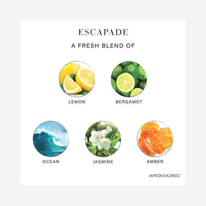 Aroma360 Escapade Paris Collection Reed Diffuser Duo | Luxury Aromatherapy Diffusers - Lemon, Ocean, Bergamot & Jasmine