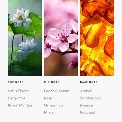 Aroma360 Fragrance Oil - Heat Elite Miami Heat Hotel Inspired 50mL