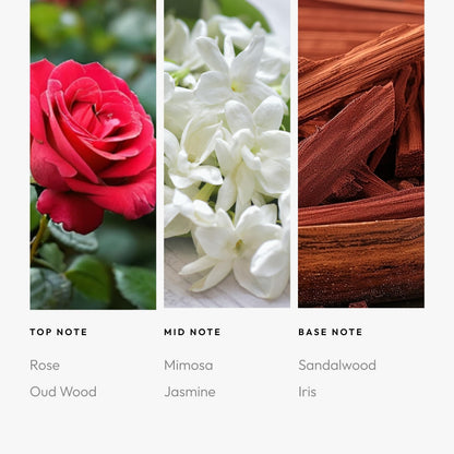Aroma360 Kiss By A Rose 200mL | Premium Fragrance Oil for Diffusers