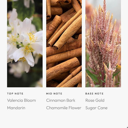Aroma360 Leo Pro-Pod Oil Blend – Valencia Bloom, Cinnamon Bark & Rose Gold | Luxury Diffuser Oil 50 mL
