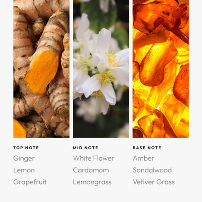 Aroma360 Pro Pod – Astrology-Inspired Fragrance Oil (Aquarius) 50mL | Ginger, White Flower & Amber