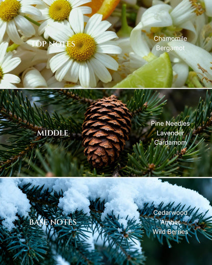 Aromadd Christmas Tree Diffuser Oil - Luxury Hotel Scent, Pine & Cedarwood Amber, 3.38 fl oz (100 mL)