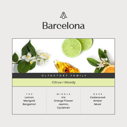 AromaPlan Barcelona Luxury Diffuser Oil – 150ml (5.07 Fl Oz), USA Made