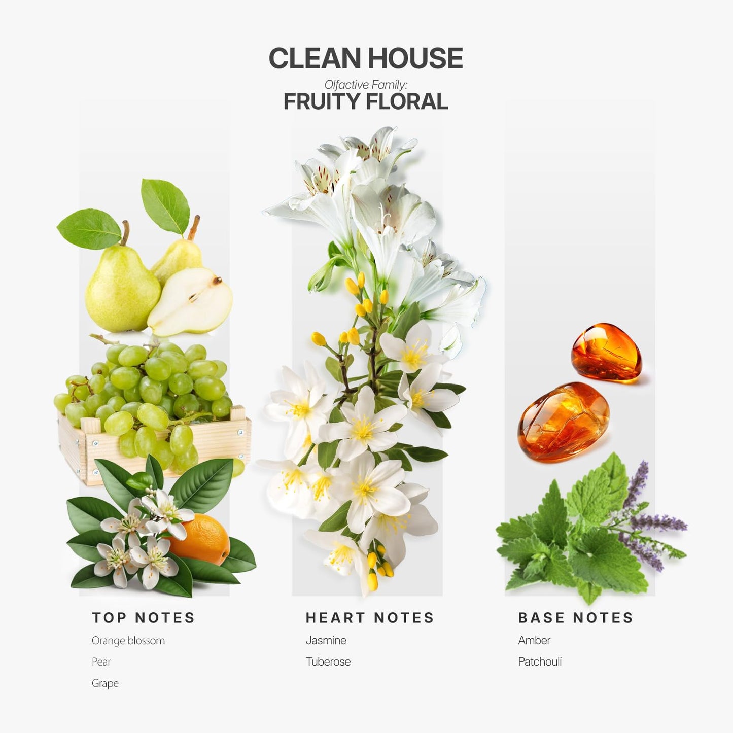 AromaPlan Clean House Essential Oil 5oz (148 ml) 2-Pack – Fresh Scent for Diffusers, USA Made