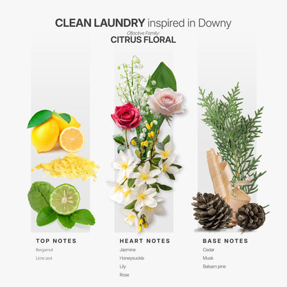 AromaPlan Clean Laundry Essential Oil – 5 fl oz / 148 ml for Diffusers | USA Fragrance