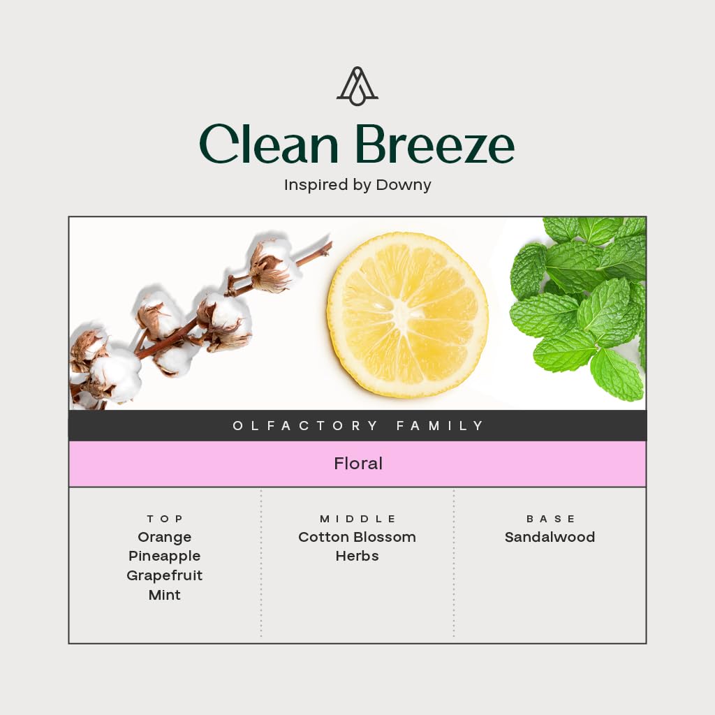 AromaPlan Clean Collection Gift Set – 3 Best-Sellers: Clean House, Clean Laundry, Clean Breeze | USA Made