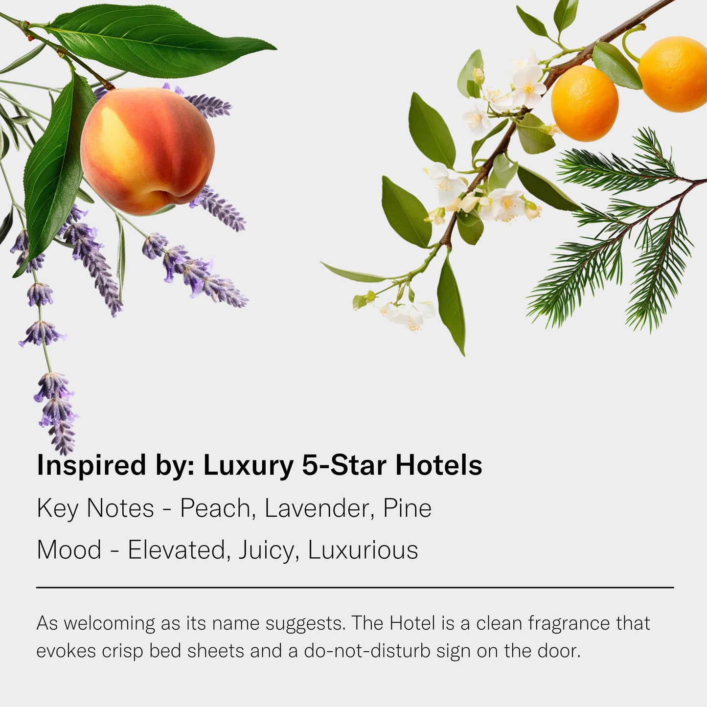 AromaTech The Hotel Essential Oil Blend – Luxury Hotel Inspired (Lemon, Lavender, Peach & Pine) 4 oz / 120 mL