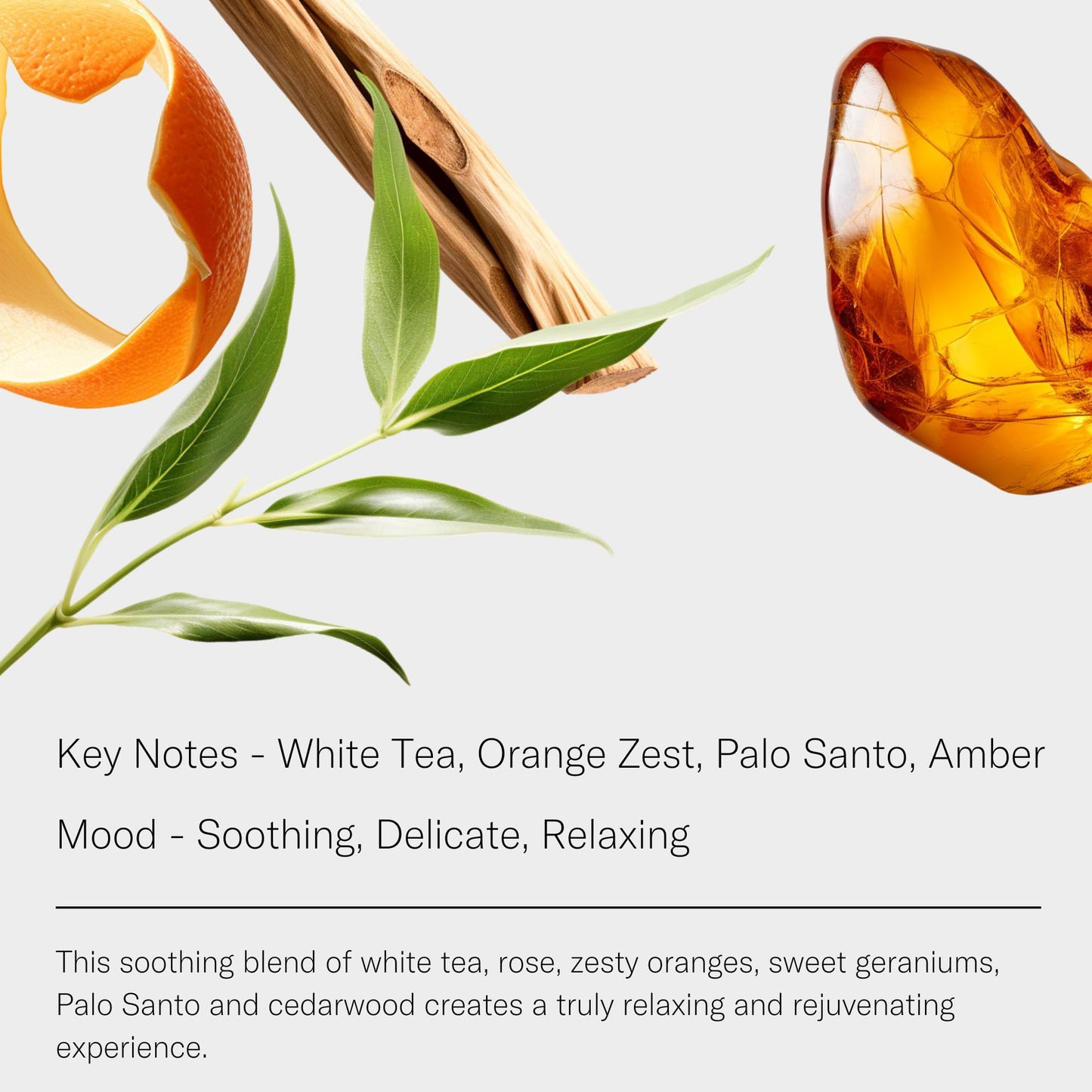 AromaTech White Tea Essential Oil Blend – Luxury Hotel Inspired Aromatherapy (4 fl oz / 120 mL)