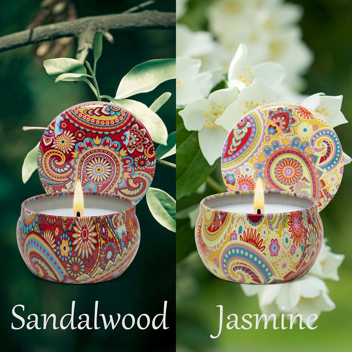 2 Pack Scented Candles Set – Sandalwood, Jasmine, 2.5 oz | Natural Soy