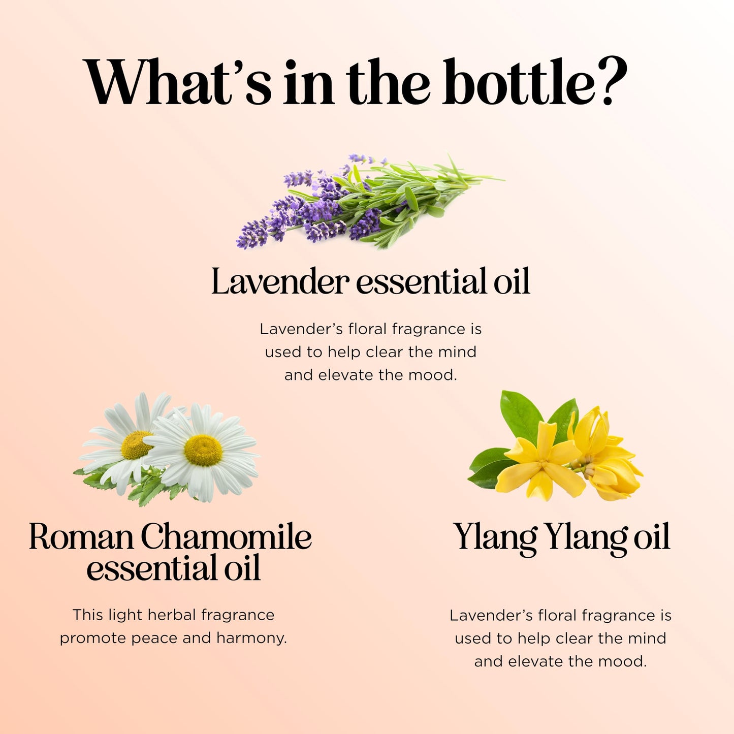 Relaxing Essential Oil Blend for Diffuser – Lavender, Geranium, Roman Chamomile & Ylang Ylang | Stress Relief Diffuser Oils