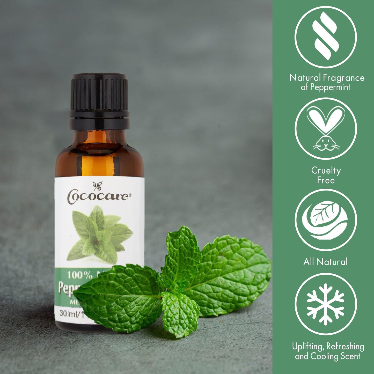 Cococare 100 Percent Peppermint Oil - Essential Oil for Aromatherapy - 1 Fl Oz
