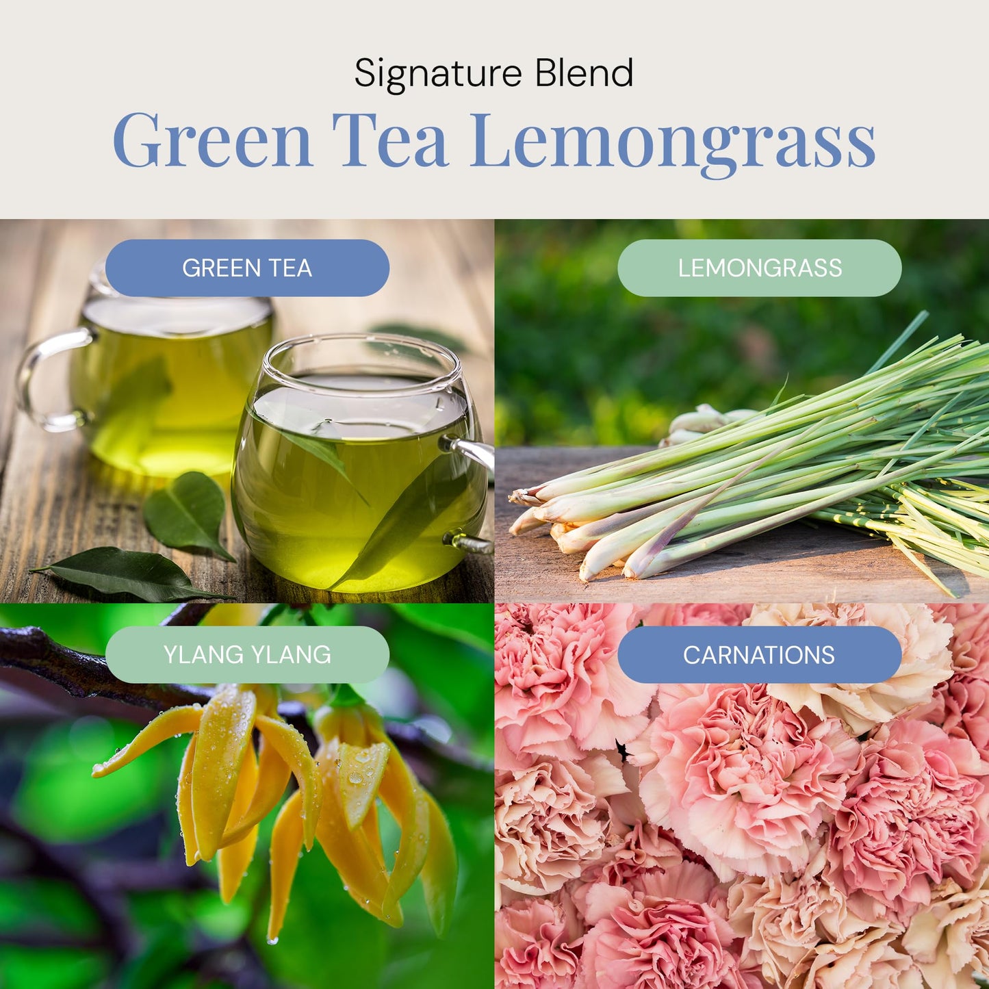 Green Tea & Lemongrass Aroma Oil – Essential Oils Blend for Diffusers | 300 mL