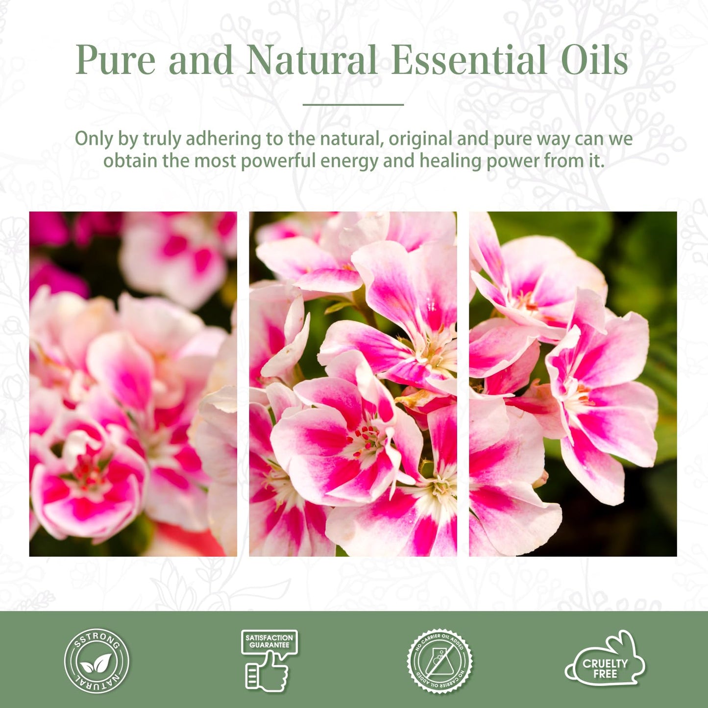 Geranium Essential Oil 1.01fl.oz/30ml – PHATOIL Premium Long Lasting Scent for Aromatherapy, Diffuser, DIY Soap & Candle Making
